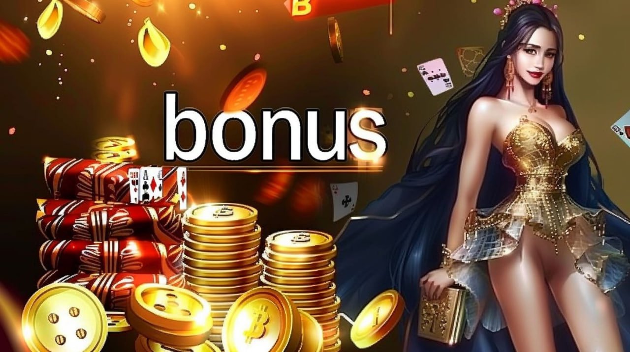 12x8 Hamari live casino ka structure aur game range